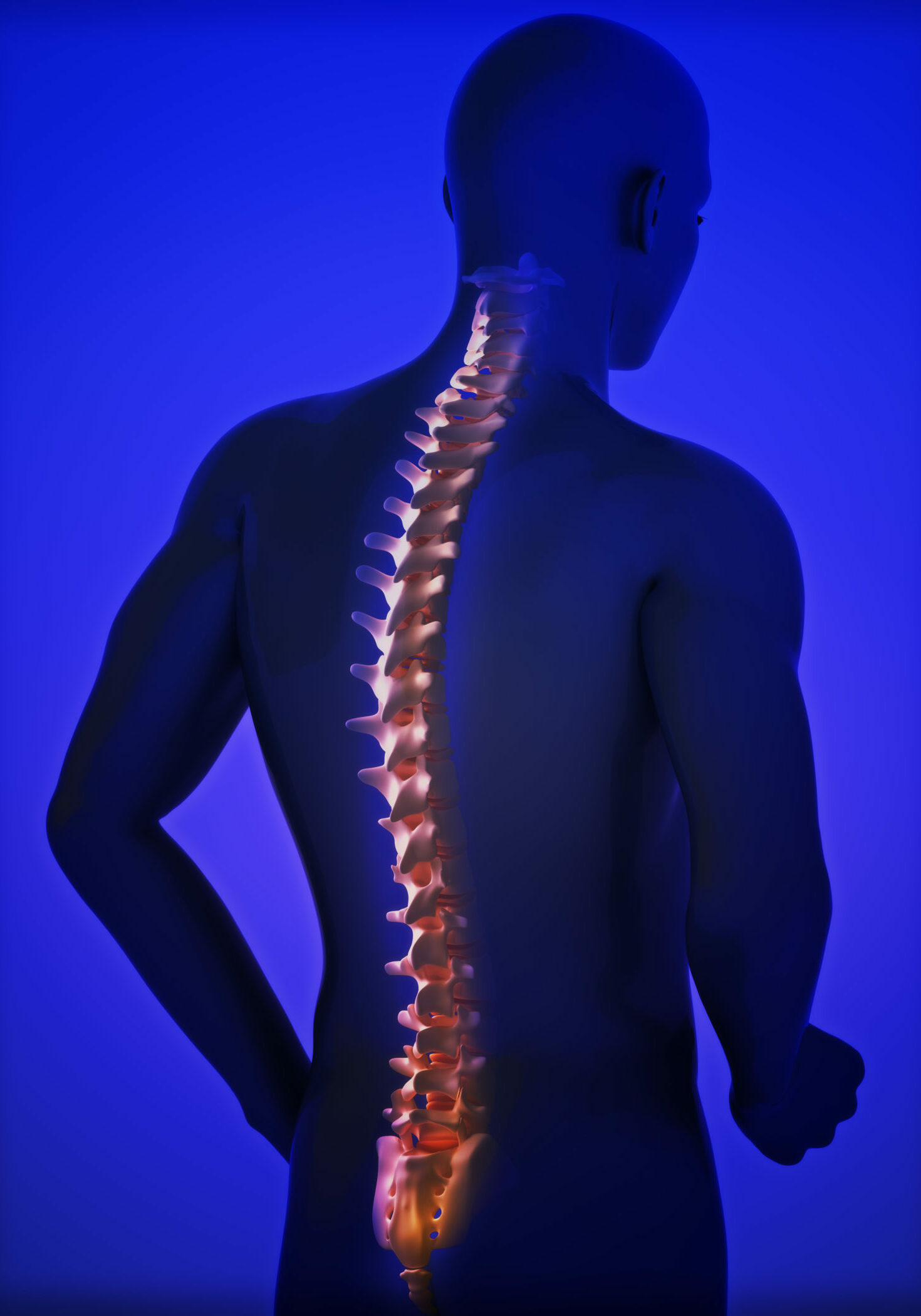 human-spine-PMHCG87