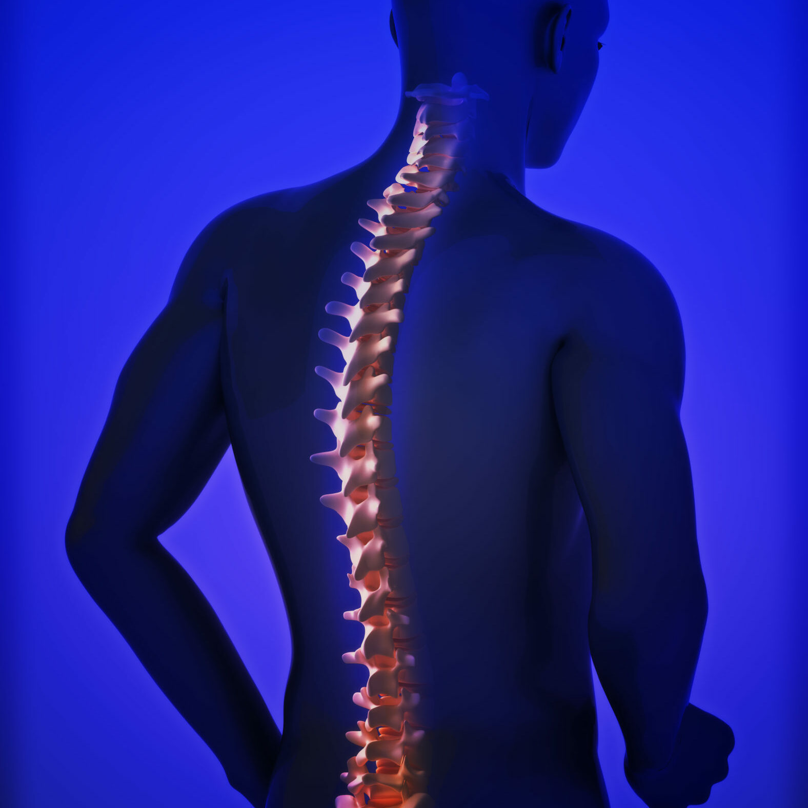 human-spine-PMHCG87